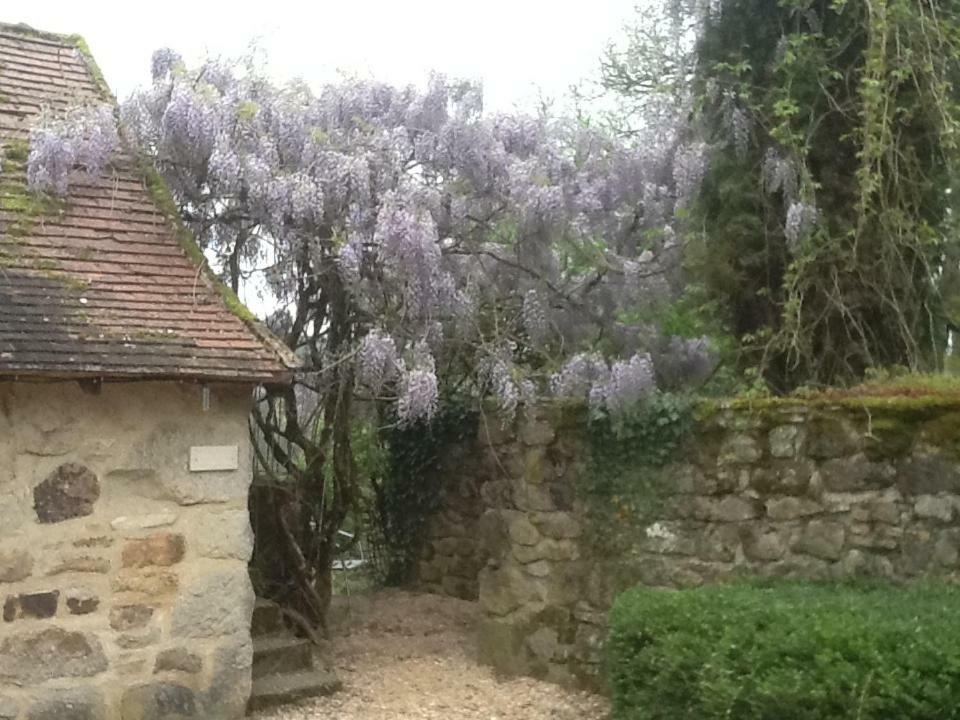 Domaine De Sautou Hotel Castanet  Kültér fotó