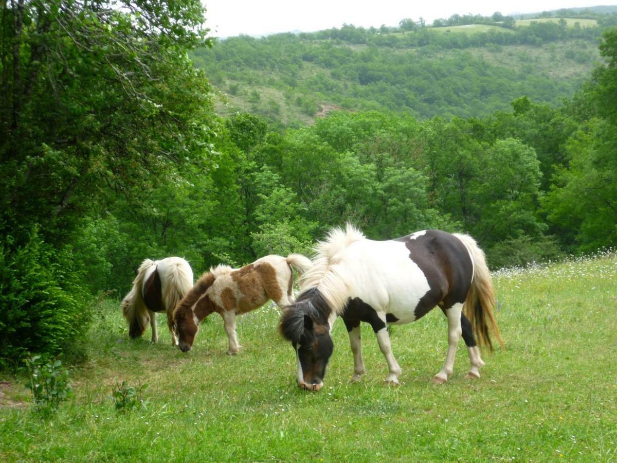 Domaine De Sautou Hotel Castanet  Kültér fotó